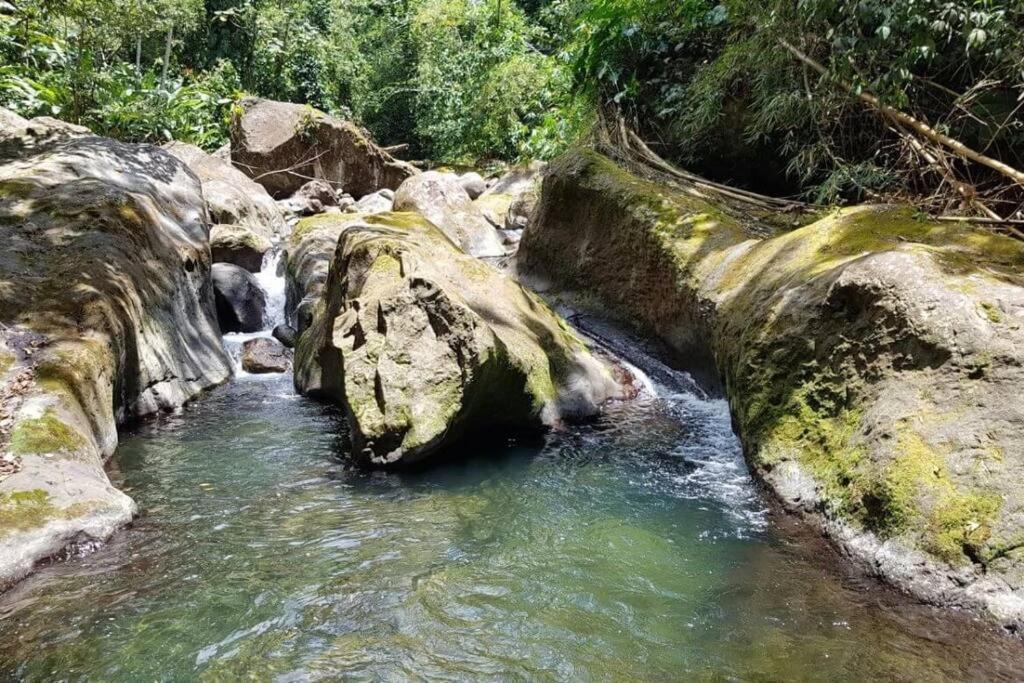 Maison La Voute Plage A 50M Et Riviere A Proximite Vieux-Habitants Ngoại thất bức ảnh