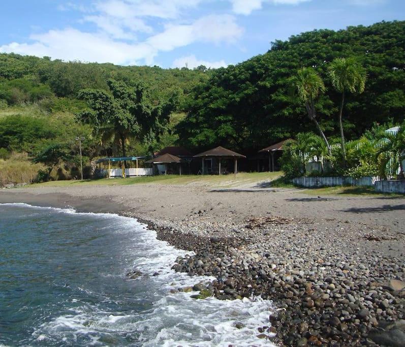 Maison La Voute Plage A 50M Et Riviere A Proximite Vieux-Habitants Ngoại thất bức ảnh